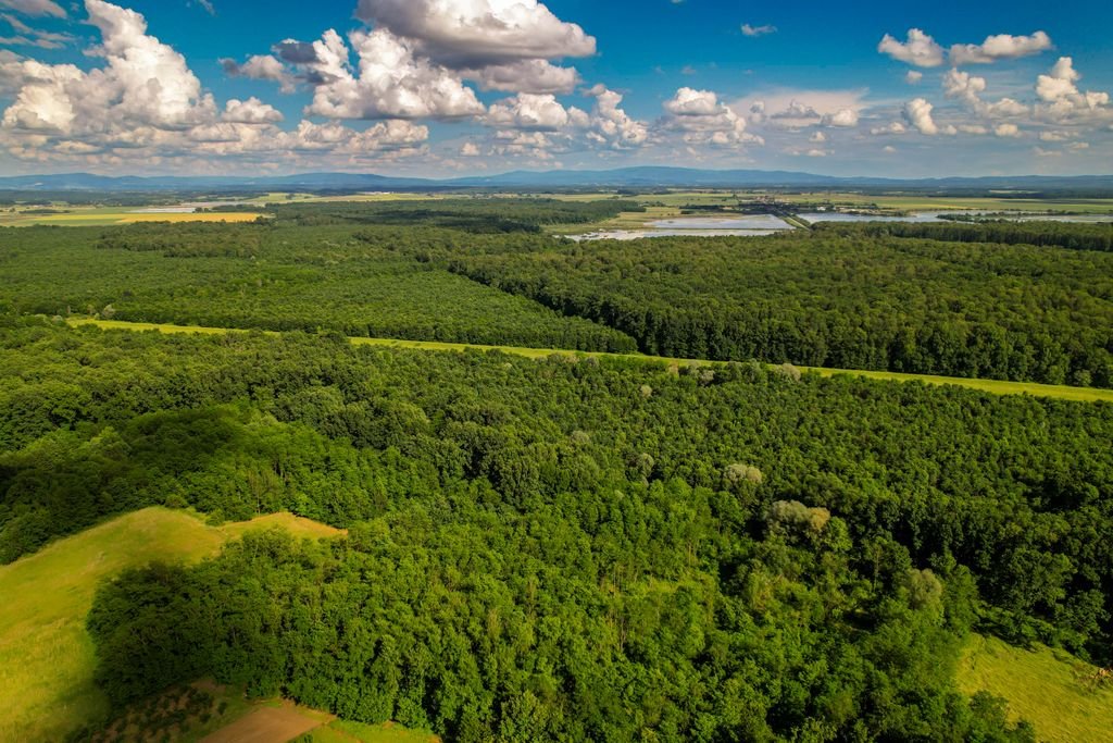 Land acreage photography Jacksonville FL
